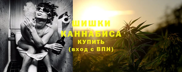 ГАЛЛЮЦИНОГЕННЫЕ ГРИБЫ Богданович