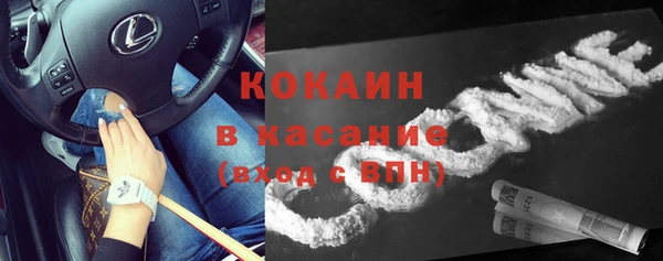 ГАЛЛЮЦИНОГЕННЫЕ ГРИБЫ Богданович