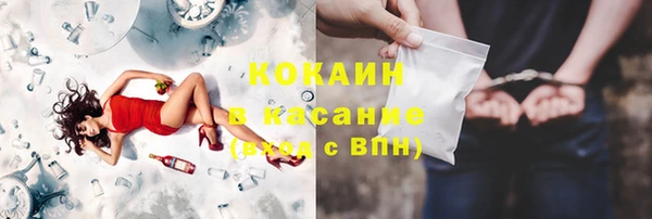 ГАЛЛЮЦИНОГЕННЫЕ ГРИБЫ Богданович