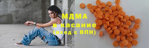 ГАЛЛЮЦИНОГЕННЫЕ ГРИБЫ Богданович