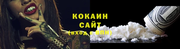 ГАЛЛЮЦИНОГЕННЫЕ ГРИБЫ Богданович