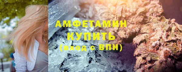 ГАЛЛЮЦИНОГЕННЫЕ ГРИБЫ Богданович