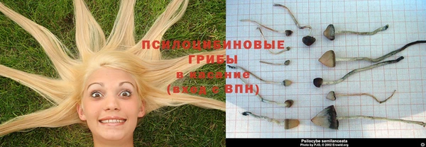 ALPHA-PVP Богородицк