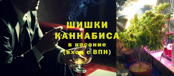 ГАЛЛЮЦИНОГЕННЫЕ ГРИБЫ Богданович